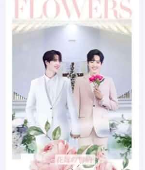 51+K+qZWcXL._AC_UF350,